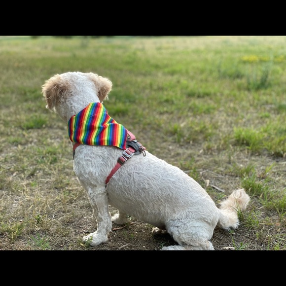 Meet your Posher, Kristin - Picture 10 of 11